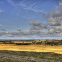 Buy canvas prints of  Shropshire Landscape by Paul Williams