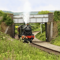 Buy canvas prints of  The Cotswold Railway by Paul Williams
