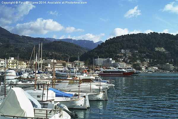 Soller Harbour Mallorca Picture Board by Paul Williams