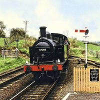 Buy canvas prints of  Jinty by Paul Williams