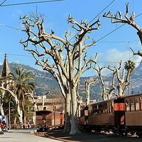 Buy canvas prints of  Soller Railway & Tram Station by Paul Williams
