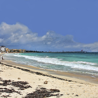 Buy canvas prints of South Beach at Puerto Morelos by Paul Williams