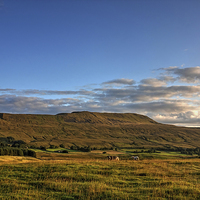 Buy canvas prints of Lower Whernside in the Yorkshire Dales by Paul Williams