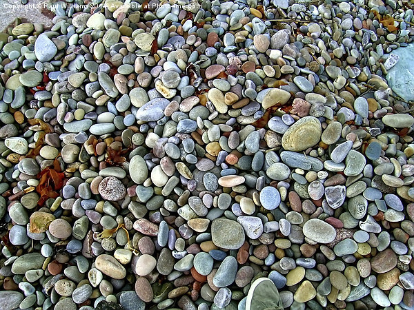 Beach Pebbles Picture Board by Paul Williams