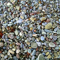 Buy canvas prints of Beach Pebbles by Paul Williams