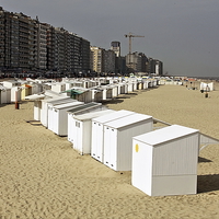 Buy canvas prints of Beach Huts at Ostend 2 by Paul Williams