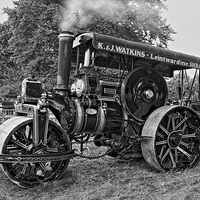 Buy canvas prints of Steam Roller  by Paul Williams