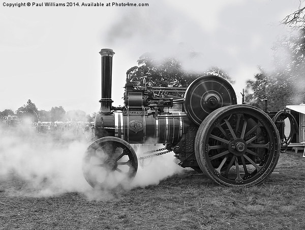  Steam Tractor at Onlow Park Picture Board by Paul Williams