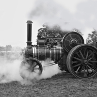 Buy canvas prints of  Steam Tractor at Onlow Park by Paul Williams