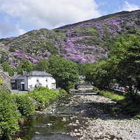 Buy canvas prints of  The Afon Glaslyn at Beddgelert by Paul Williams