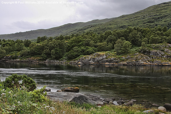 The Shores of Loch Creran Picture Board by Paul Williams