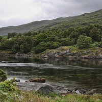 Buy canvas prints of The Shores of Loch Creran by Paul Williams