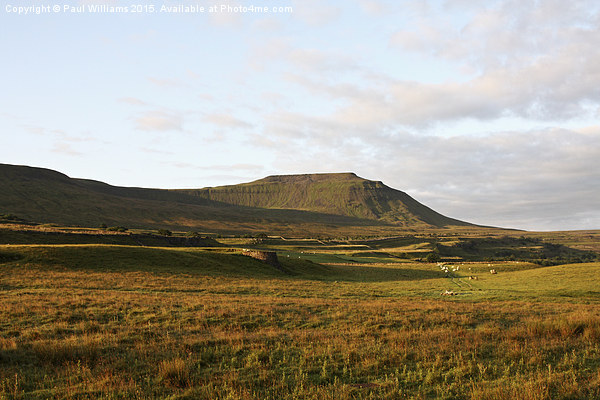 Ingleborough in Early Morning Sunlight Picture Board by Paul Williams