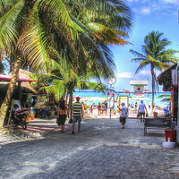 Buy canvas prints of  Caribbean Expectations by Paul Williams