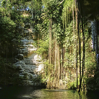 Buy canvas prints of  Cenote by Paul Williams