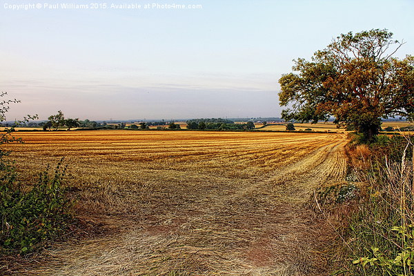  Harvested Fields at Dusk Picture Board by Paul Williams