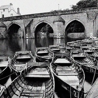 Buy canvas prints of Rowing boats on Durham river by DARREN WHITE