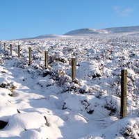 Buy canvas prints of Pentlands Winter by Steve Falla