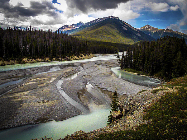 Rocky Mountains Bow River Alberta Canada Picture Board by Chris Curry