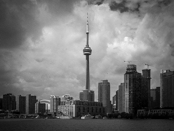  CN Tower & Toronto Skyline Ontario Canada - Black Picture Board by Chris Curry