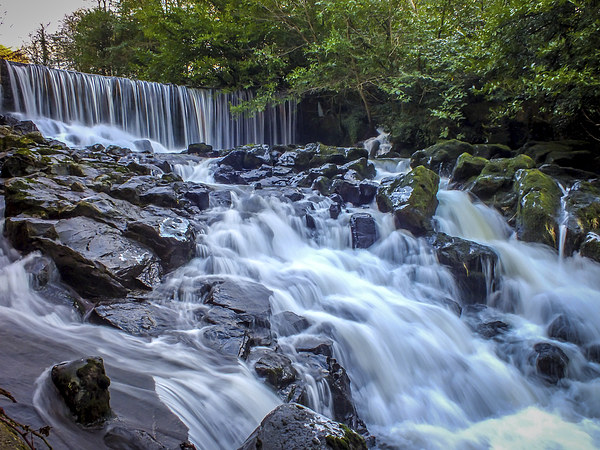 Waterfall, Crumlin Glen, Antrim, N.Ireland Picture Board by Chris Curry
