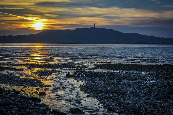  Strangford Lough Scrabo Tower N.Ireland Sunset Picture Board by Chris Curry