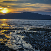 Buy canvas prints of  Strangford Lough Scrabo Tower N.Ireland Sunset by Chris Curry