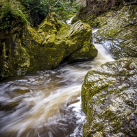 Buy canvas prints of  Tollymore Forest, Mournes, Northerm Ireland Game  by Chris Curry