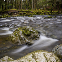Buy canvas prints of Shimna River Tollymore Forrest - Ireland by Chris Curry