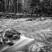 Buy canvas prints of Tollymore Forest River Mournes, Northern Ireland  by Chris Curry