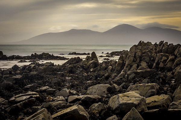 Mourne Mountains View St John's Point N.Ireland Picture Board by Chris Curry