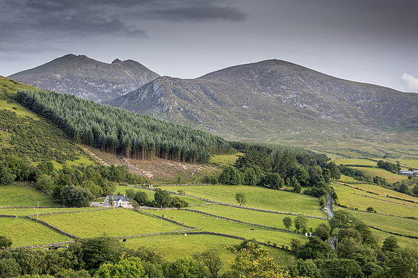  Ireland deep in the Mourne Mountains  Picture Board by Chris Curry