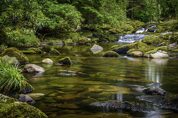  Mournes Shimna River Tollymore Forest Picture Board by Chris Curry