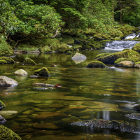 Buy canvas prints of  Mournes Shimna River Tollymore Forest by Chris Curry