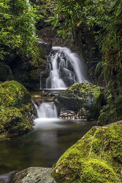  Waterfall Ireland Tollymore Forest  Picture Board by Chris Curry