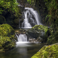 Buy canvas prints of  Waterfall Ireland Tollymore Forest  by Chris Curry