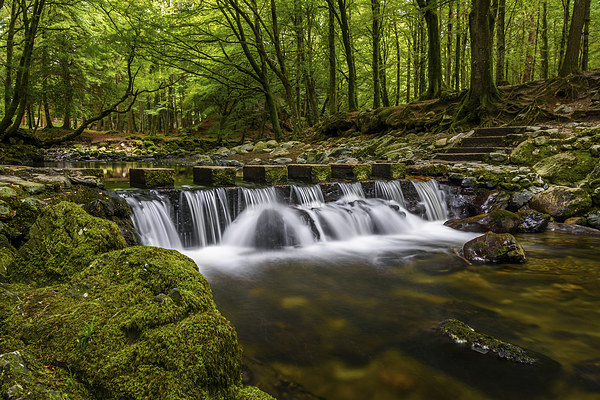  Stepping Stones Tollymore Forest Mournes Ireland Picture Board by Chris Curry