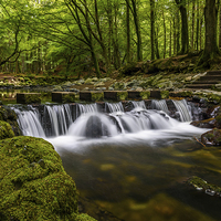 Buy canvas prints of  Stepping Stones Tollymore Forest Mournes Ireland by Chris Curry