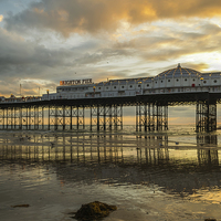 Buy canvas prints of Brighton Pier at Sunset by Darryl Harrison