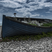 Buy canvas prints of Beached by Darryl Harrison