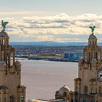 Buy canvas prints of Royal Liver Building, Liverpool by Dave Wood