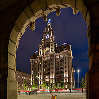 Buy canvas prints of Liverpool Fox Under the Arches by Dave Wood