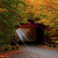 Buy canvas prints of  Fall Covered Bridge by Ian Pettman
