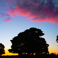 Buy canvas prints of Beverley  Westwood Sunset & Sillouettes  by Ian Pettman