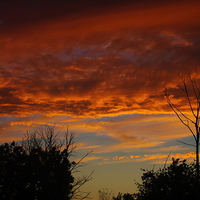 Buy canvas prints of  Treetop and Sunset by Ian Pettman