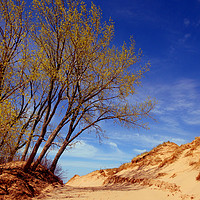 Buy canvas prints of Sunday at The Dunes by Ian Pettman