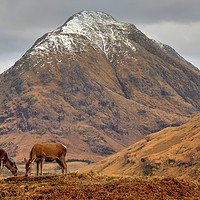 Buy canvas prints of Glen Etive, Scotland. by ALBA PHOTOGRAPHY