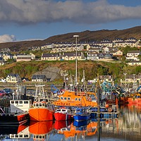 Buy canvas prints of Mallaig Harbour, Scotland by ALBA PHOTOGRAPHY