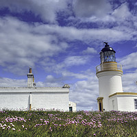 Buy canvas prints of Chanonry Lighthouse, The Black Isle, Scotland by ALBA PHOTOGRAPHY