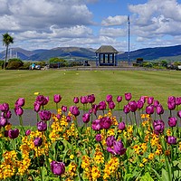 Buy canvas prints of Rothesay Winter Gardens, Isle of Bute, Scotland by ALBA PHOTOGRAPHY